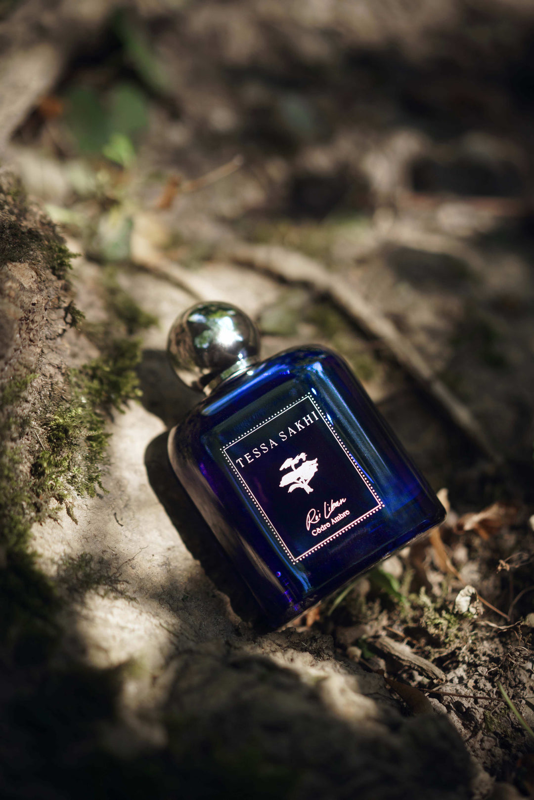 Roi Liban Cèdre Ambre by Tessa Sakhi woody Eau de Parfum bottle inspired by Lebanon Cedars of God forest at House of Nomad Stories