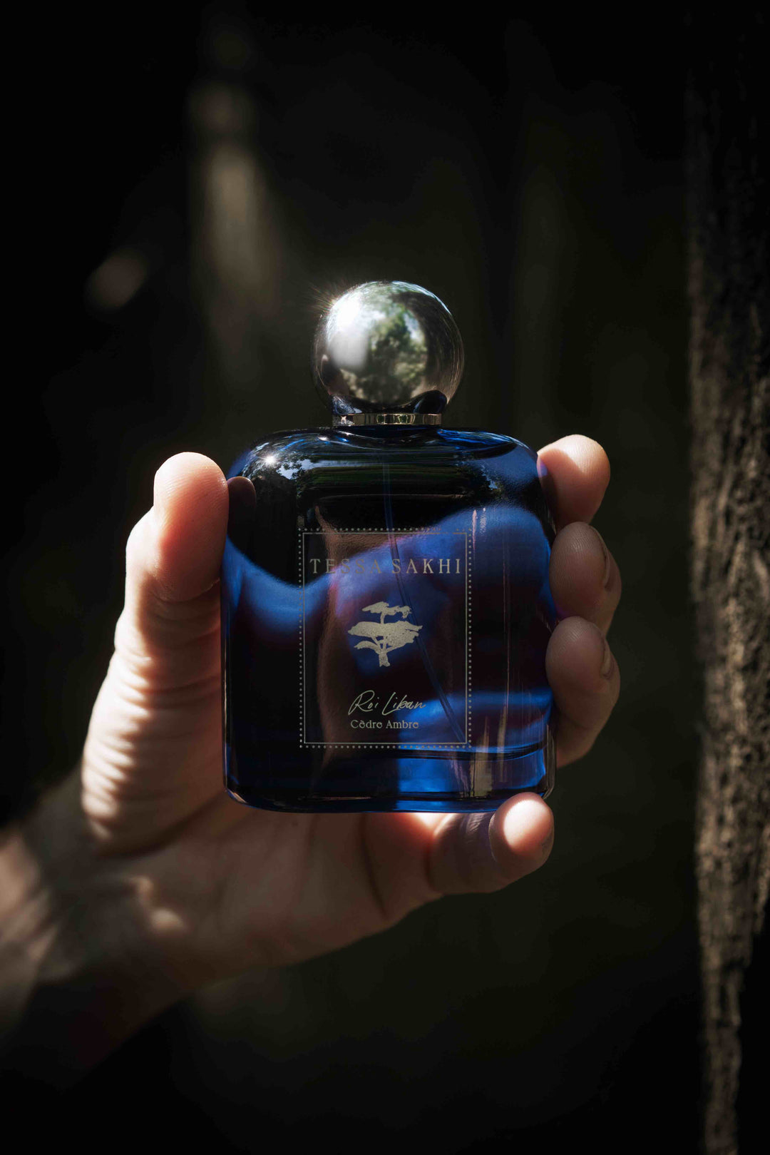 Roi Liban Cèdre Ambre by Tessa Sakhi woody Eau de Parfum bottle inspired by Lebanon Cedars of God forest at House of Nomad Stories