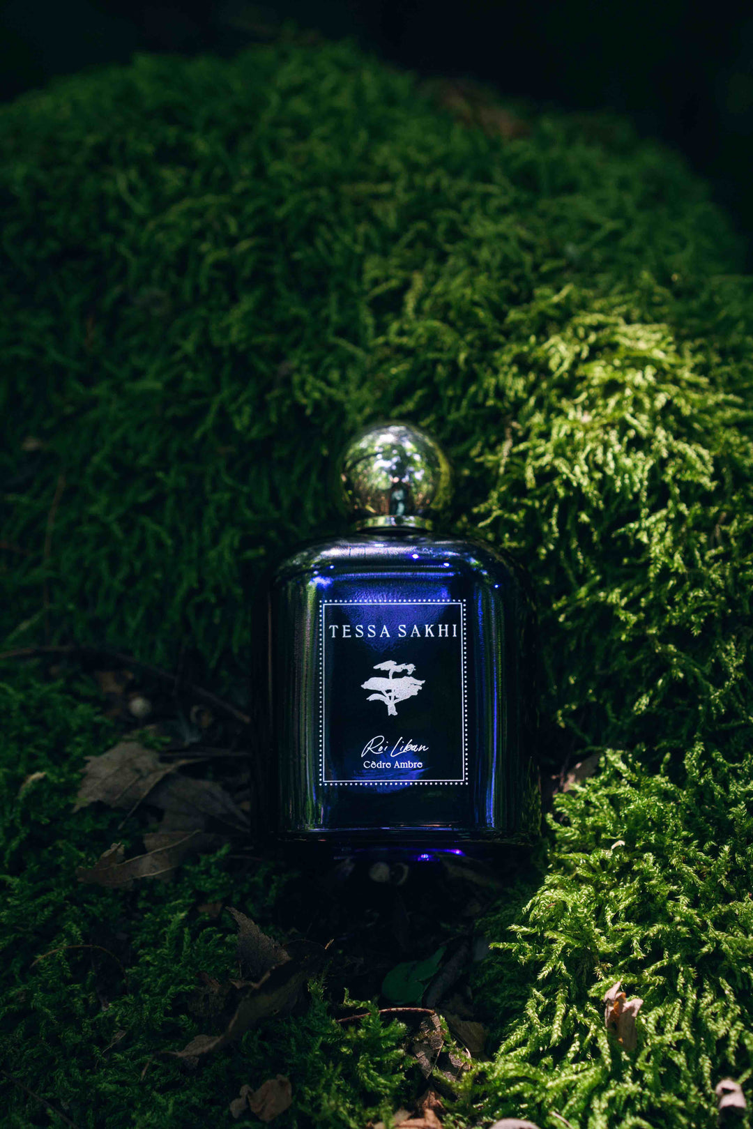 Roi Liban Cèdre Ambre by Tessa Sakhi woody Eau de Parfum bottle inspired by Lebanon Cedars of God forest at House of Nomad Stories
